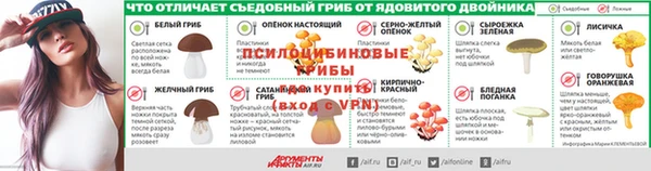 PSILOCYBIN Коряжма