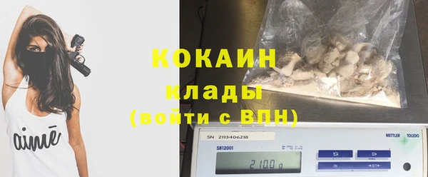 PSILOCYBIN Коряжма