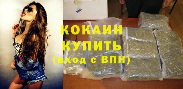 PSILOCYBIN Коряжма