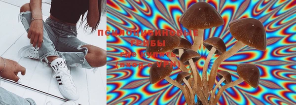 PSILOCYBIN Коряжма
