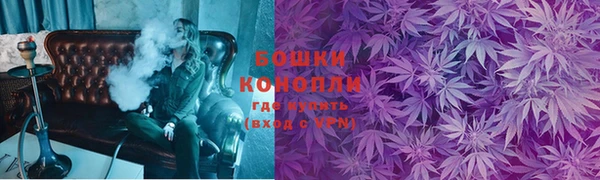 PSILOCYBIN Коряжма