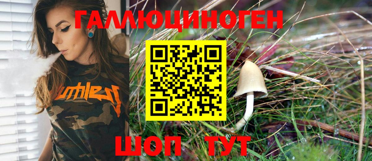 Псилоцибиновые грибы Psilocybe  Екатеринбург  Псилоцибиновые грибы Cubensis 