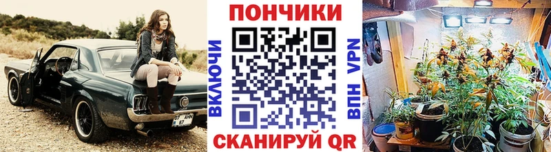 Конопля сатива Екатеринбург